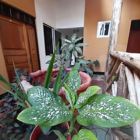 The Belle View Inn Bed & Breakfast Moshi Bagian luar foto